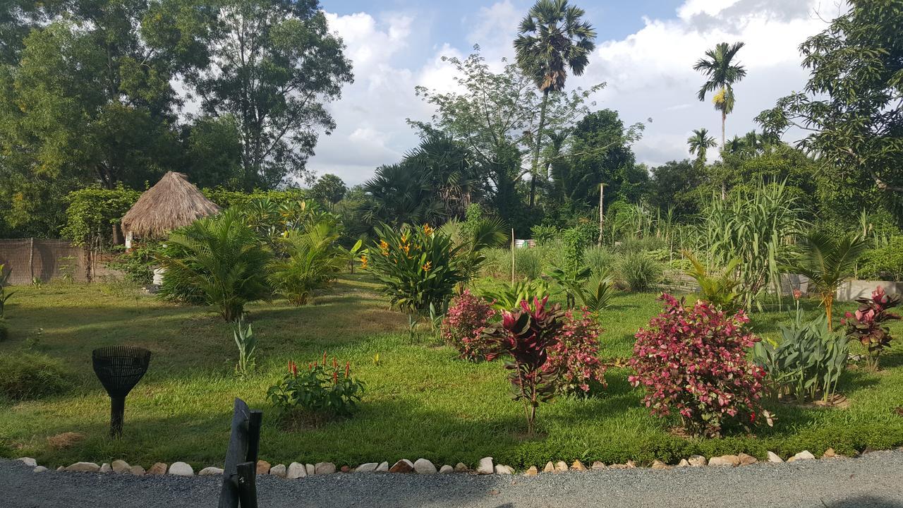 Gecko Village Kampot Buitenkant foto